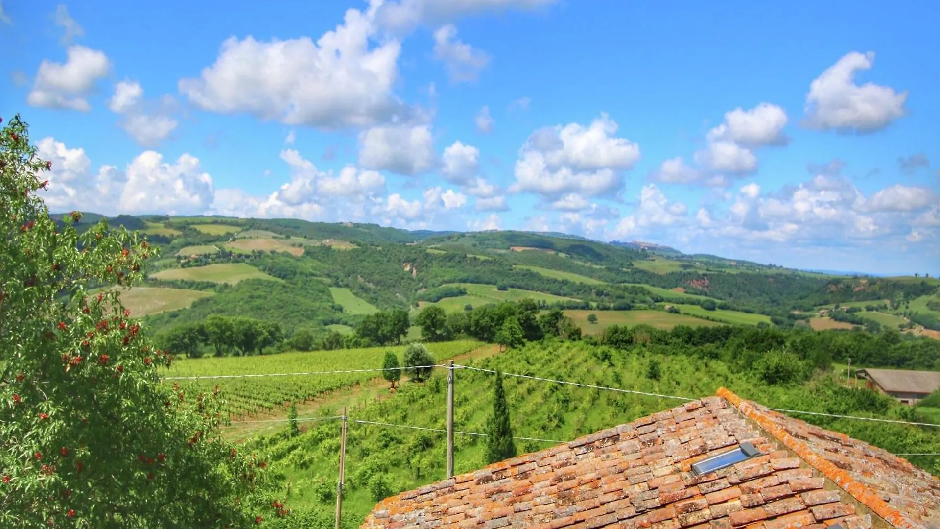Farmhouse For Four People With Pool Castiglione dʼOrcia 0*,